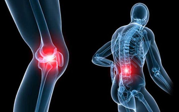 Dấu hiệu bệnh loãng xương