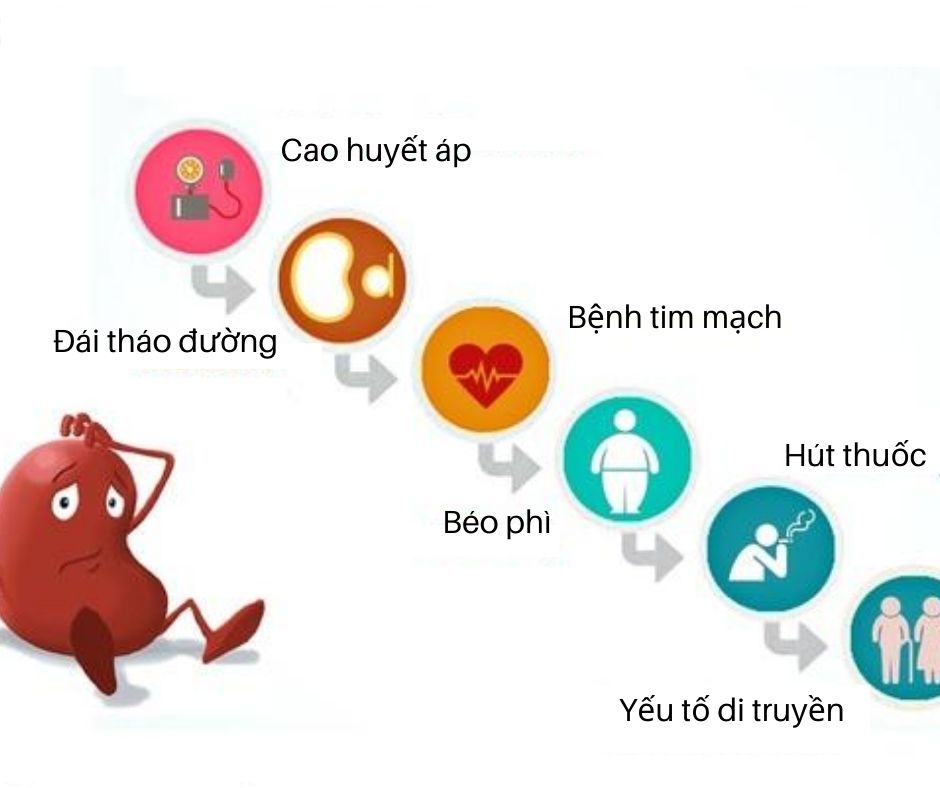 nguyên nhân gây suy thận mạn như đái tháo đường, cao huyết áp,...