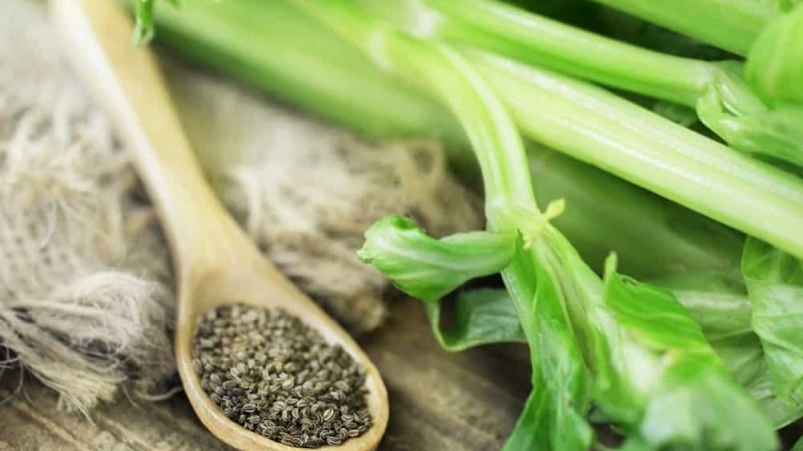 Lợi ích của cần tây trong việc đào thải axit uric