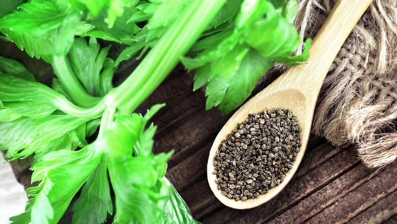 Hạt cần tây hỗ trợ đào thải acid uric