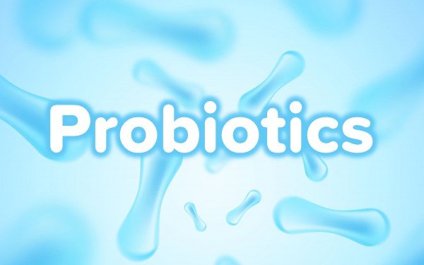 Các chủng lợi khuẩn Probiotic hỗ trợ cải thiện IBS.