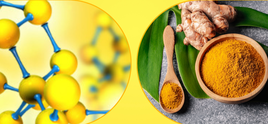 So sánh Curcumin thường và Nano Curcumin trong hỗ trợ bệnh dạ dày