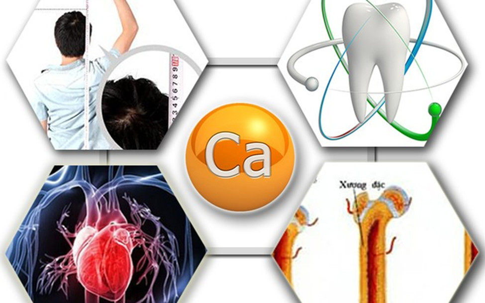 Vai trò của canxi đối với xương, răng và cơ thể