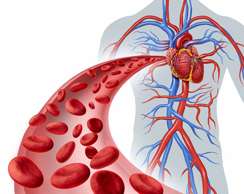 chỉ số triglyceride cao và mức cảnh báo nguy hiểm