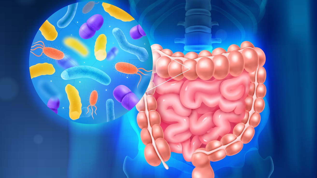 Mất cân bằng hệ vi sinh đường ruột gây táo bón kéo dài