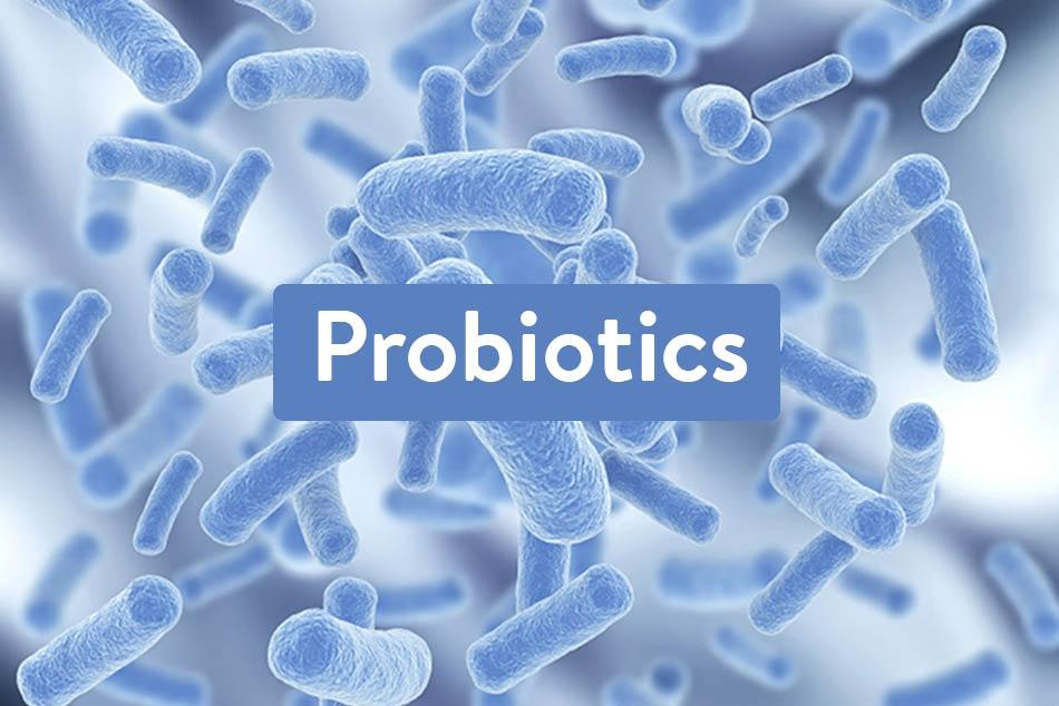 Lợi khuẩn (probiotic) hỗ trợ tiêu hoá tốt.