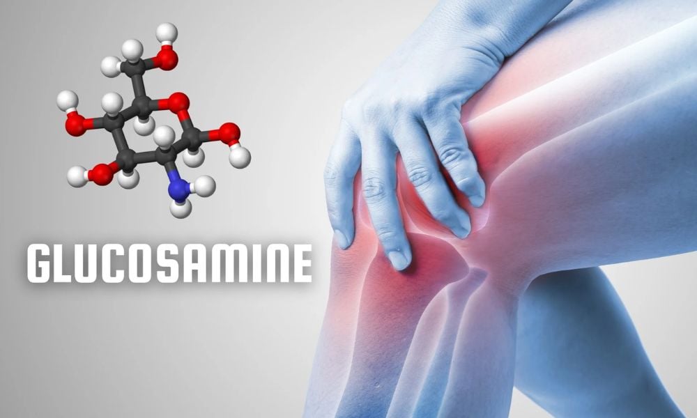 Bộ ba dưỡng chất Glucosamin, Chondroitin và MSM hỗ trợ thoái hóa khớp gối