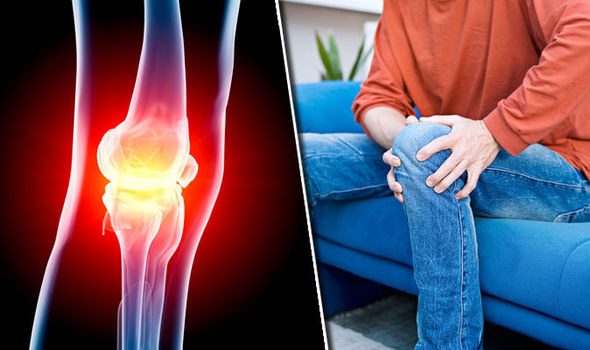 Cấu trúc khớp gối bị thoái hóa theo thời gian