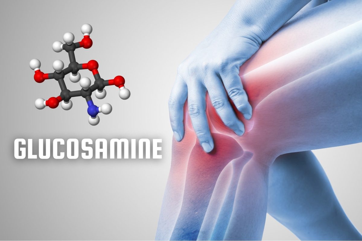 glucosamin hỗ trợ cải thiện thoái hóa khớp và tái tạo sụn