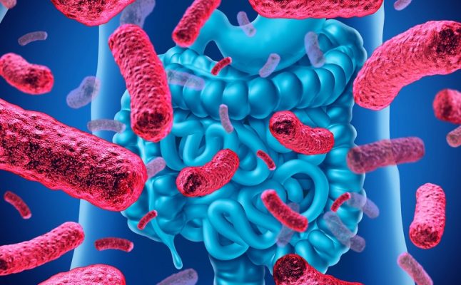 Đại tràng co thắt nên dùng men vi sinh gì?