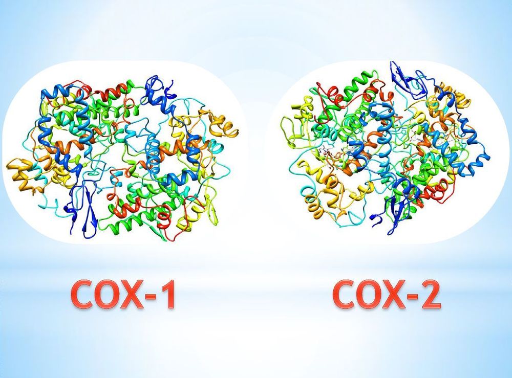 Cơ chế COX-1 và COX-2 khi dùng thuốc xương khớp