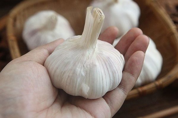 Đột quỵ và cách ăn tỏi đúng giúp hỗ trợ sức khỏe tim mạch