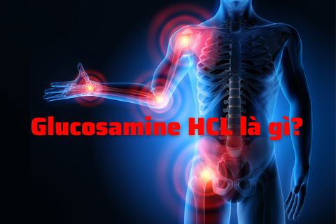 glucosamine HCl cho người đau khớp
