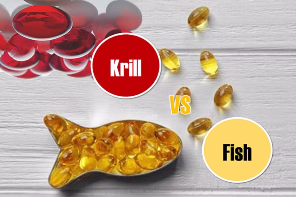 So sánh khả năng hấp thu của Omega-3 90% tinh khiết và Omega-3 nhuyễn thể