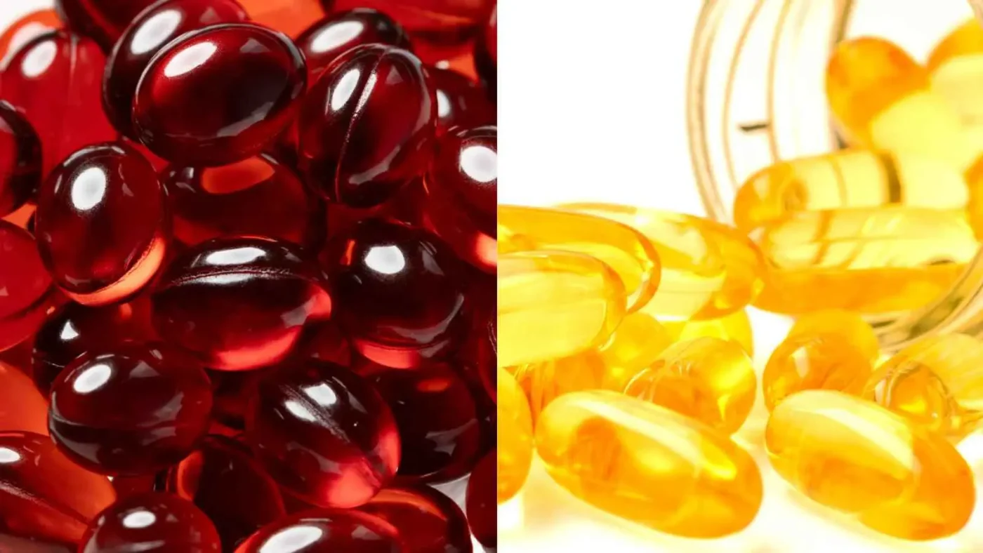 So sánh Omega-3 từ dầu cá và dầu nhuyễn thể
