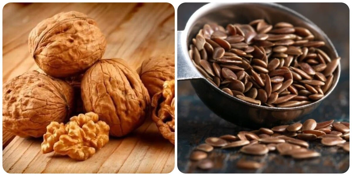 Omega-3 từ thực vật sự thật về hiệu quả giảm mỡ máu 
