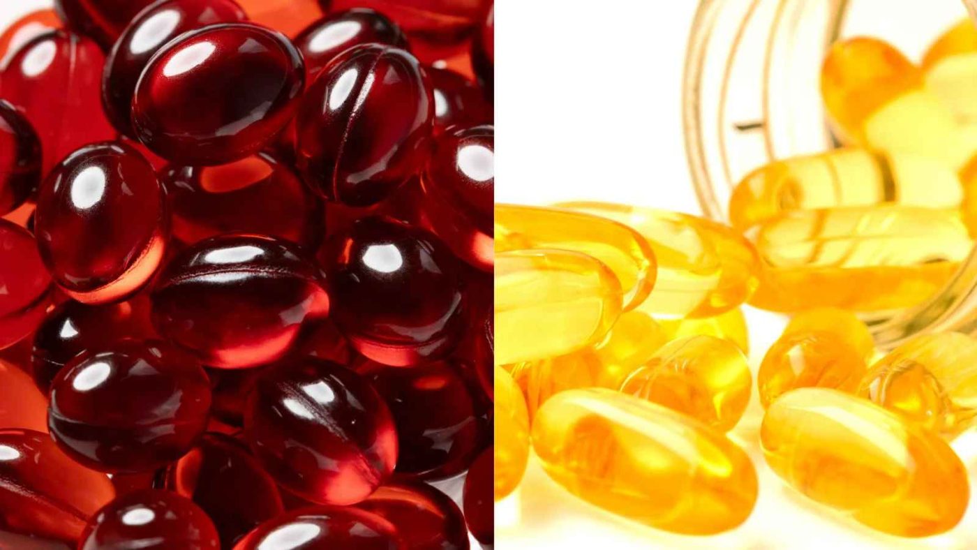 So sánh Omega-3 từ dầu cá và dầu nhuyễn thể khi phối hợp thuốc mỡ máu