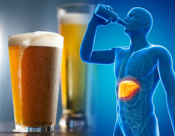 Rượu bia sát thủ bào mòn lá gan 